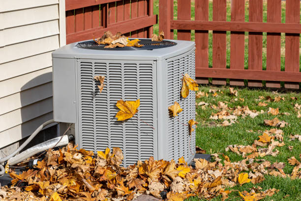 Best Air Filters and Purifiers in Terre Haute, IN